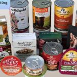 Healthy Canned Dog Foods Featured photo