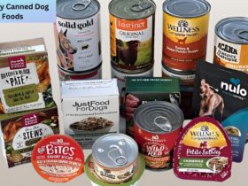 Healthy Canned Dog Foods Featured photo