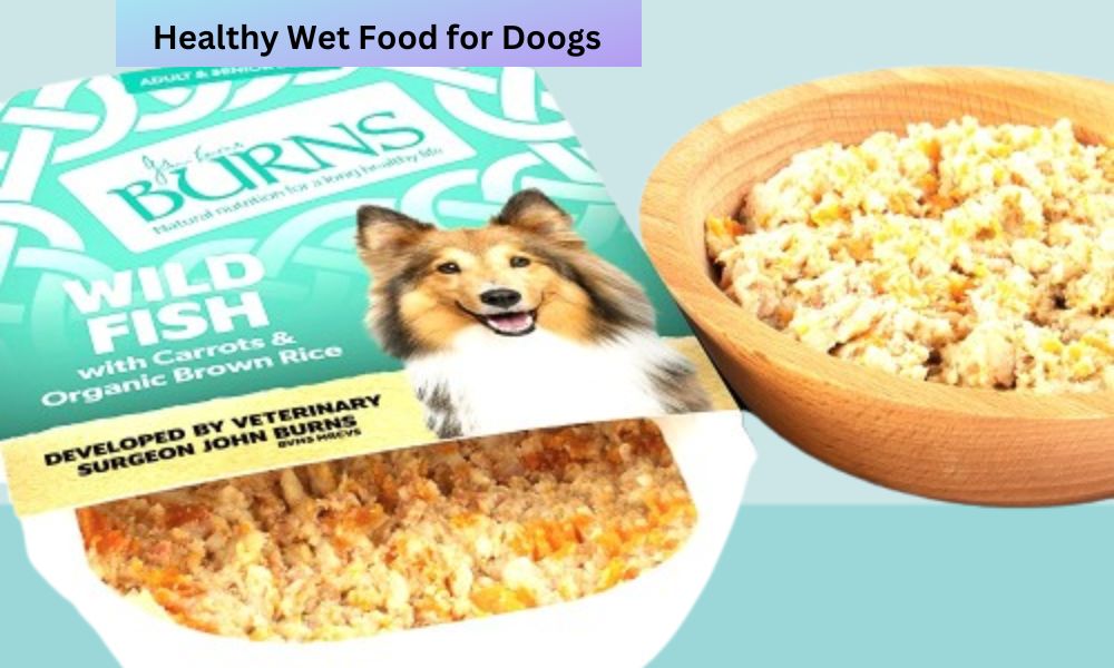 Healthy Wet Food For Dogs