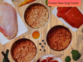 Frozen Raw Dog Foods Featured Image